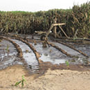 L’Autorizzazione unica ambientale