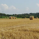 La campagna ravennate