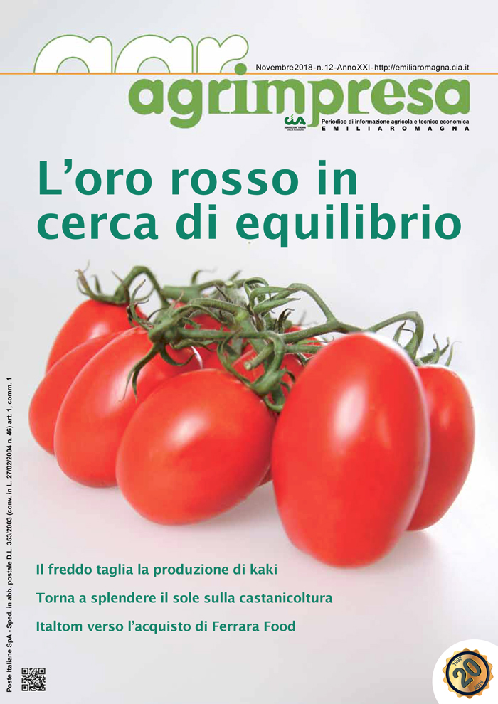 copertina Agrimpresa dossier pomodoro