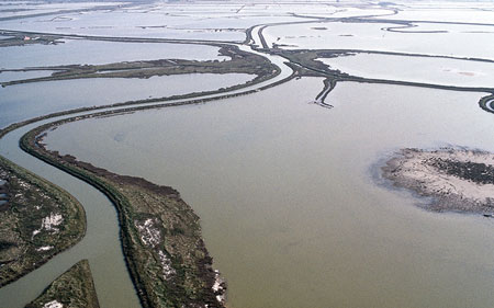 valli di Comacchio