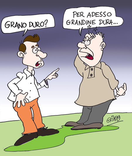 vignetta sul grano