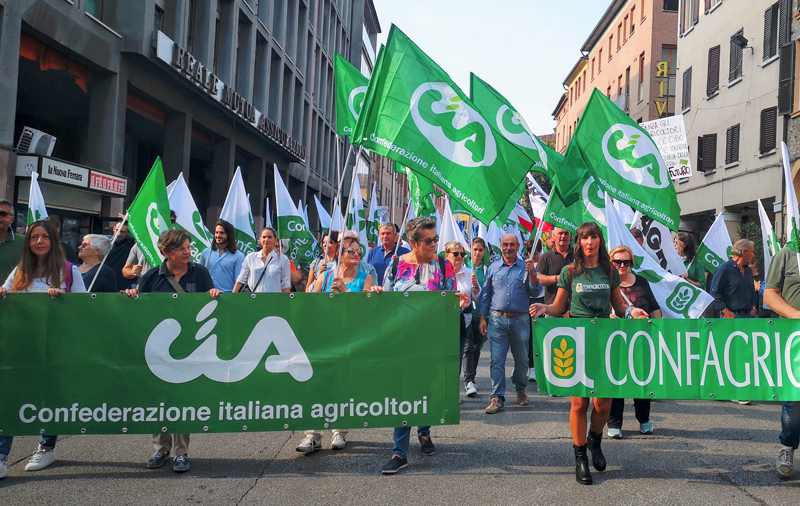manifestazione striscioni