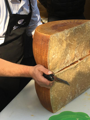 parmigiano 11 anni
