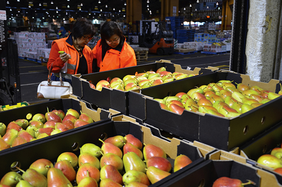 aggregazione e ricerca