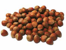 nocciole