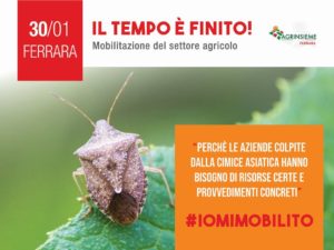 #iomimobilito
