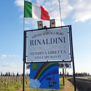 rinaldini-vini