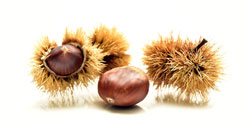 castagne