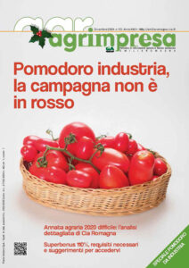 pomodoro da industria