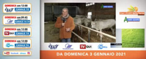 a cielo aperto