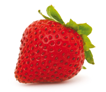 fragola