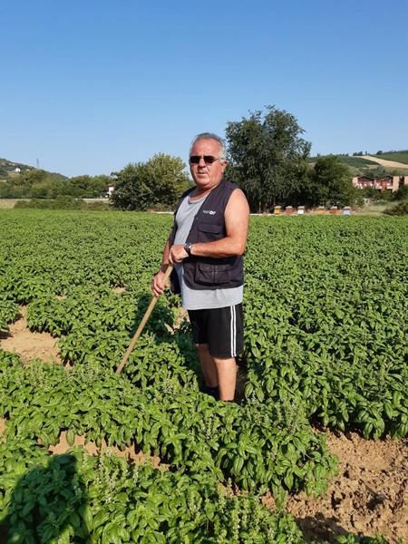 Nerio Cassani
