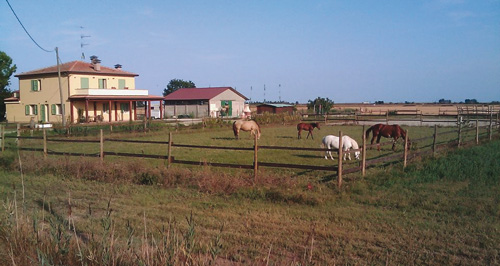 ValleRillo