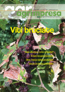 Agrimpresa ottobre 2023