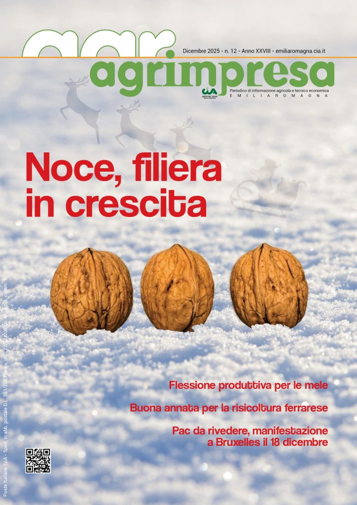 copertina Agrimpresa dicembre 2025