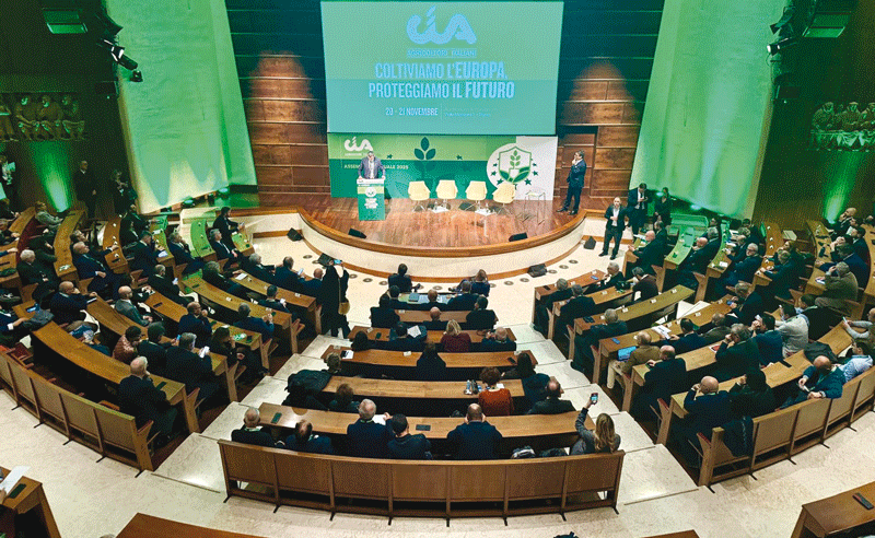 AssembleaCia